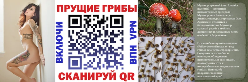 кракен вход  цены   Губаха  Галлюциногенные грибы ЛСД 